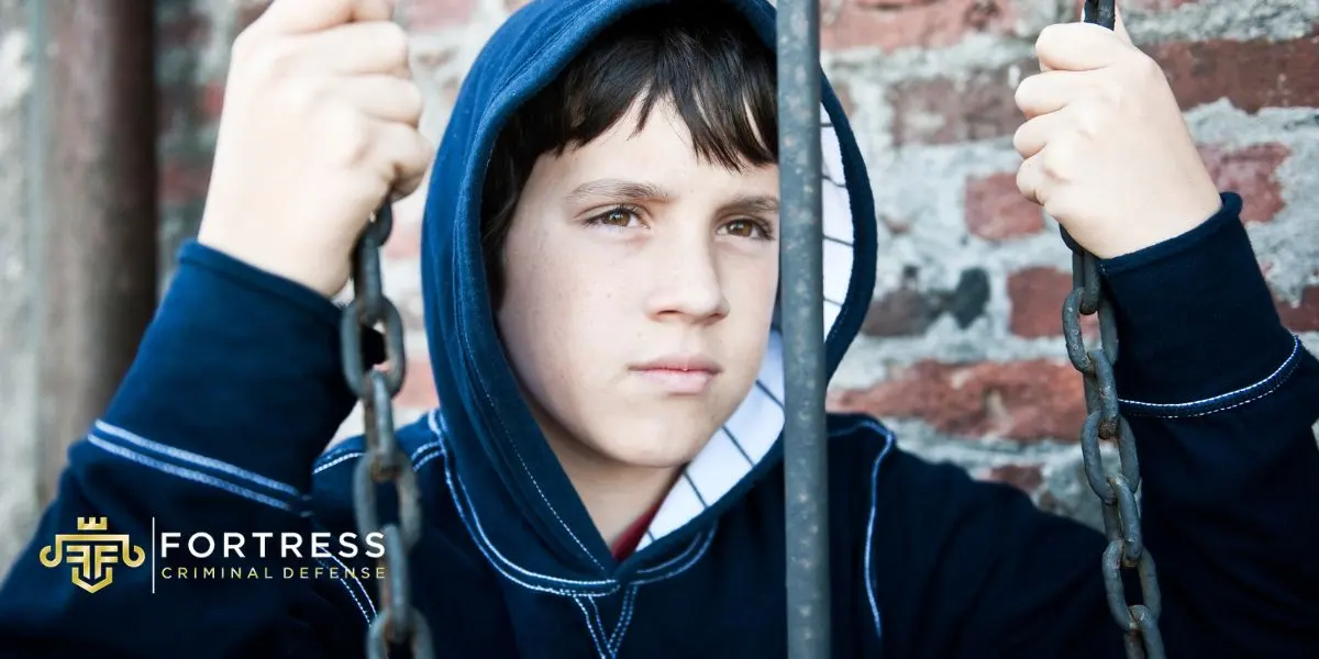 Mentor Juvenile Crime Lawyer