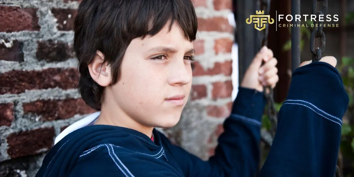 Painesville Juvenile Crime Lawyer